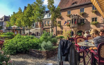 Le vin d’Alsace : l’un des meilleurs vins blanc au monde