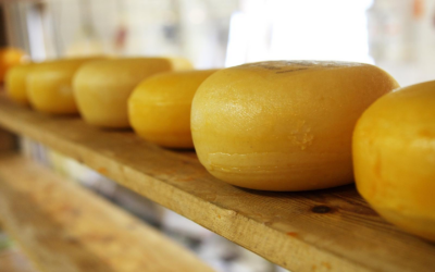Guide pour choisir le fromage ideal pour vos recettes