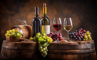 Top des blogs sur le vin : Les secrets des sommeliers pour une dégustation réussie au fil des saisons